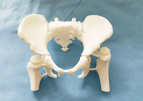 Artificial Bone